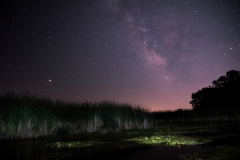 Night-Sky-over-Pine-Creek