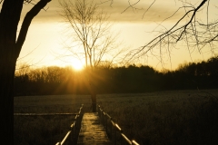 PC-Sunrise