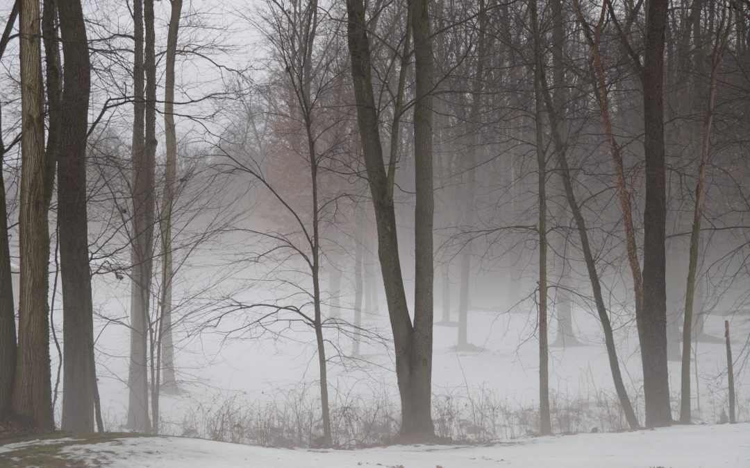 Seasonal Affective Disorder