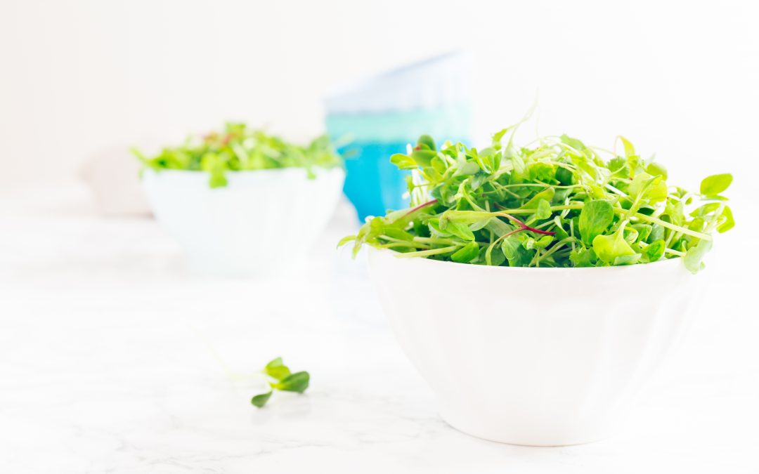 A Taste of NHBP: Summer Salad and Microgreens