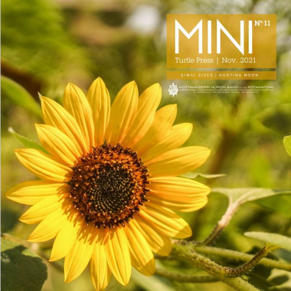November — MINI