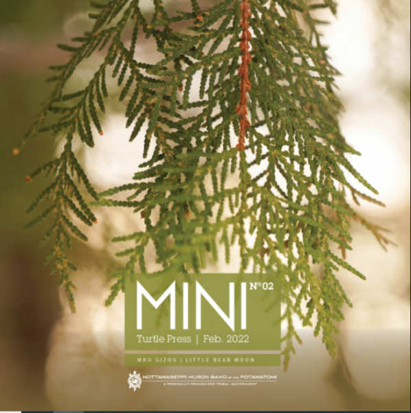 February — MINI