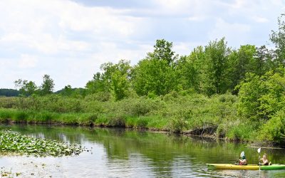 Connecting Students with Indigenous Keepers of Traditional Ecological Knowledge