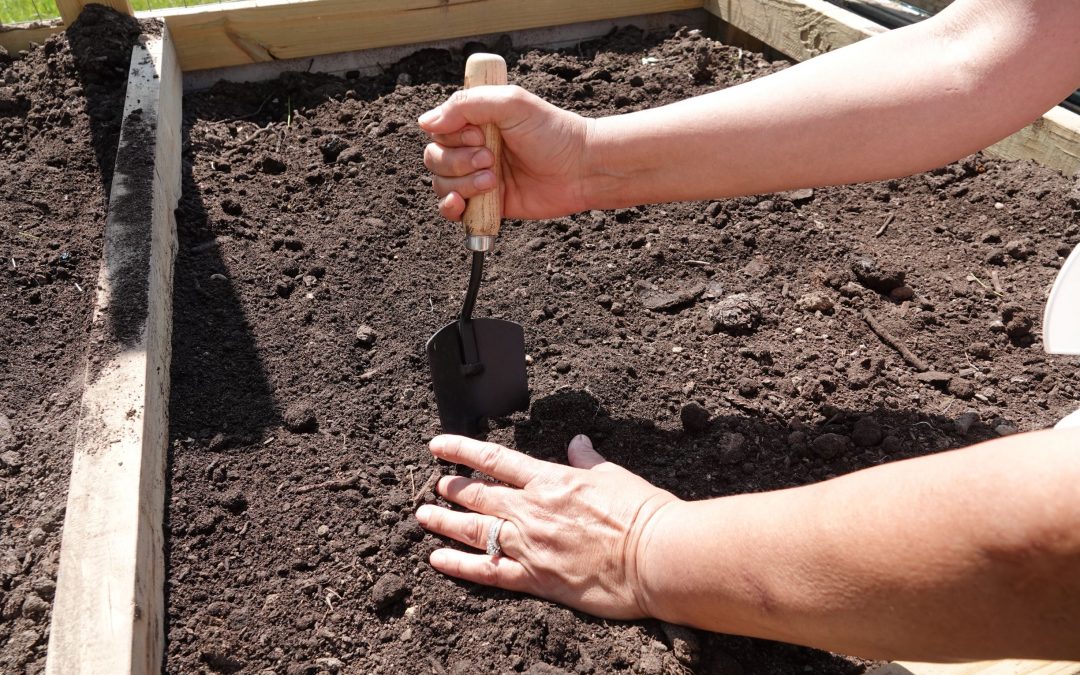 Sprouting Joy at Newly Named Pine Creek Farms