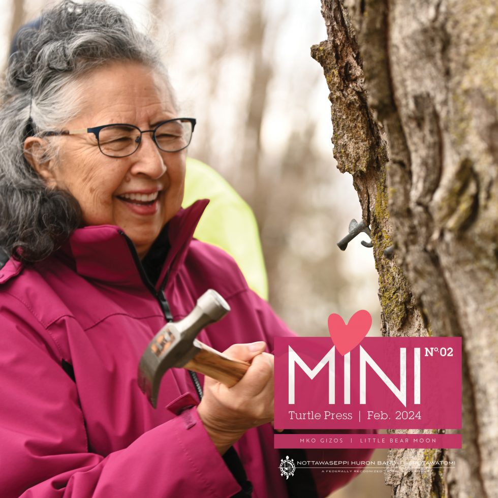 march-mini-nhbp
