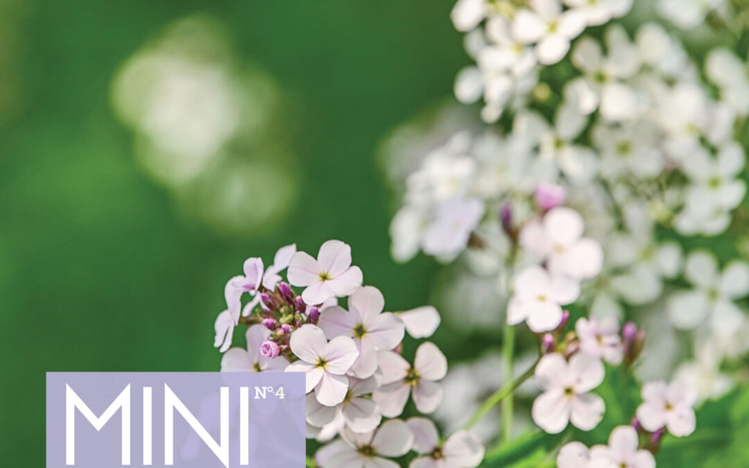 April – MINI