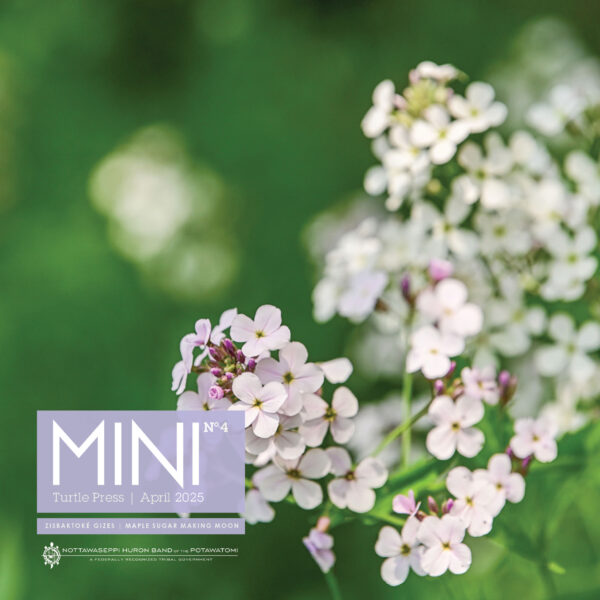 April – MINI